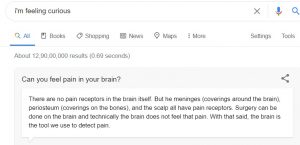 im feeling curious - Google Fun Fact - can you feel pain in your brain