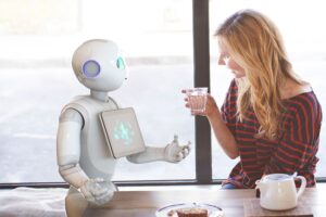 Robotics in Domestic Field