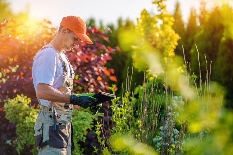 Reasons To Use Technology For Your New Landscaping Business
