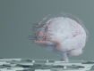 AI Startups and the Legal Risk of Getting It Wrong